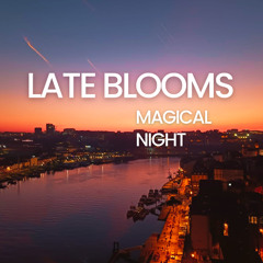 Magical Night
