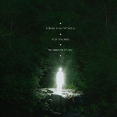 Before I Go (TRIVECTA) x Stay (MAZARE & JOSH RUBIN) x Starbright (DABIN) [WAYWHEN MASHUP]