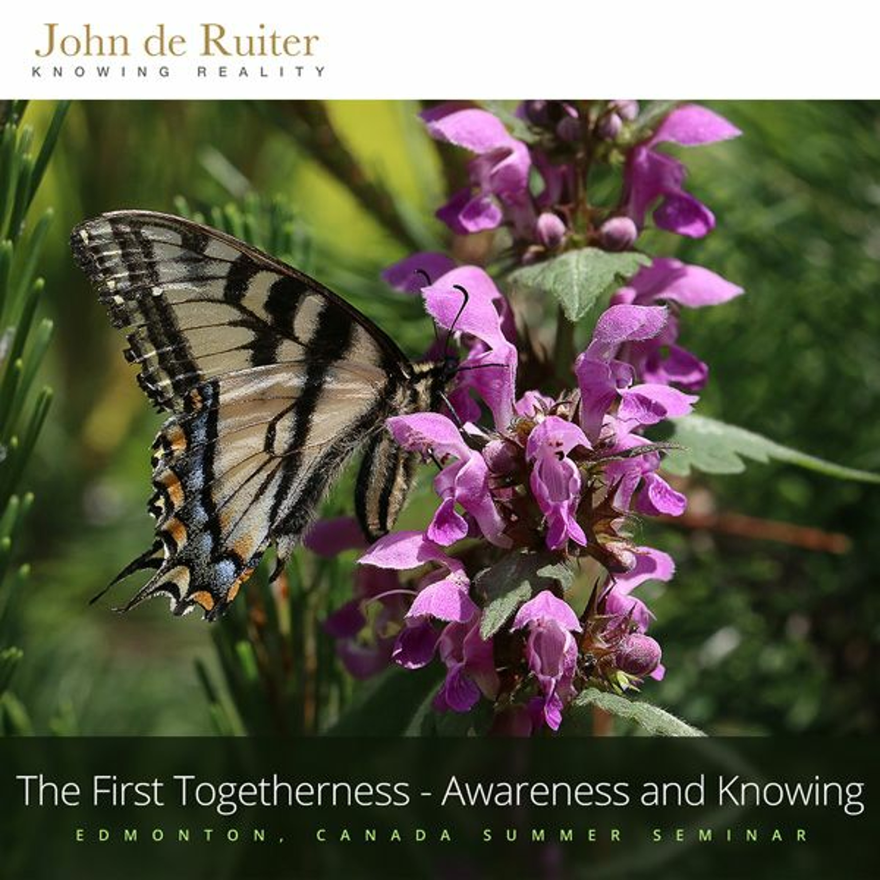 281 - The First Togetherness - Awareness and Knowing - 2 of 2 episode artwork