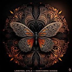 LTR Premiere: Limetra, CTLX - Northern Winds (Original Mix)[Journey Of The Soul]