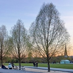 Beats & Melodies #14