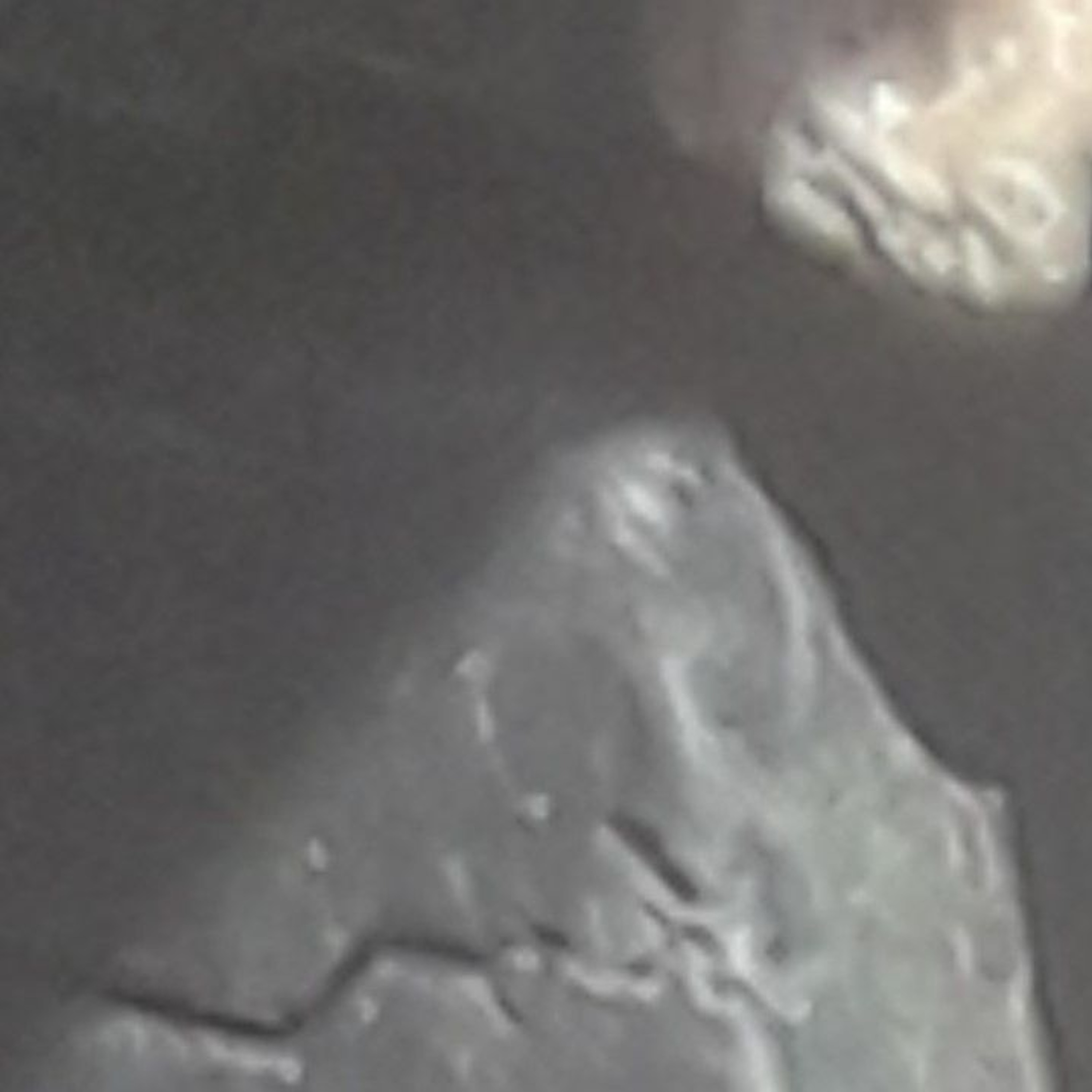 Track cover