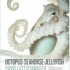 Octopus Seahorse Jellyfish from Nat Geo photographer David Littschwager