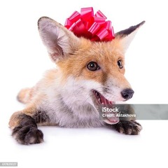 Santa Claus Is Coming To Town (kafoxkakox fucking REMIX)