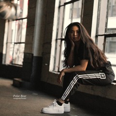 Polar Bear (instrumental)