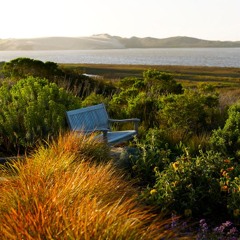 the chainsmokers & ROZES - roses (piano)