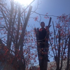 !B Blab - The Have At Its - Go Nuts