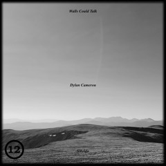 Dylan Cameron - Sikeida (Walls Could Talk 12)