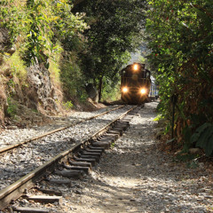 Locomotion (2004)