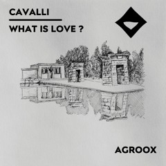 Cavalli - What Is Love ?