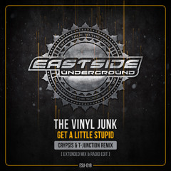 Get a Little Stupid (Crypsis & T-Junction Remix) (Radio Edit)