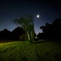 Moonlit Hearts Under The Stars
