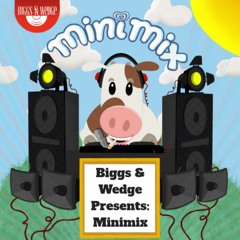 MiniMixes