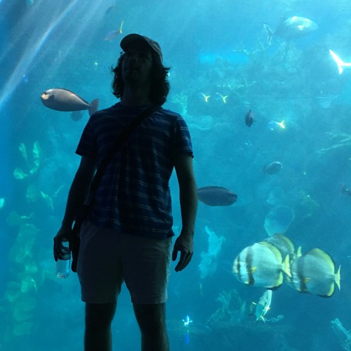 Jump Into The Big Wide Blue