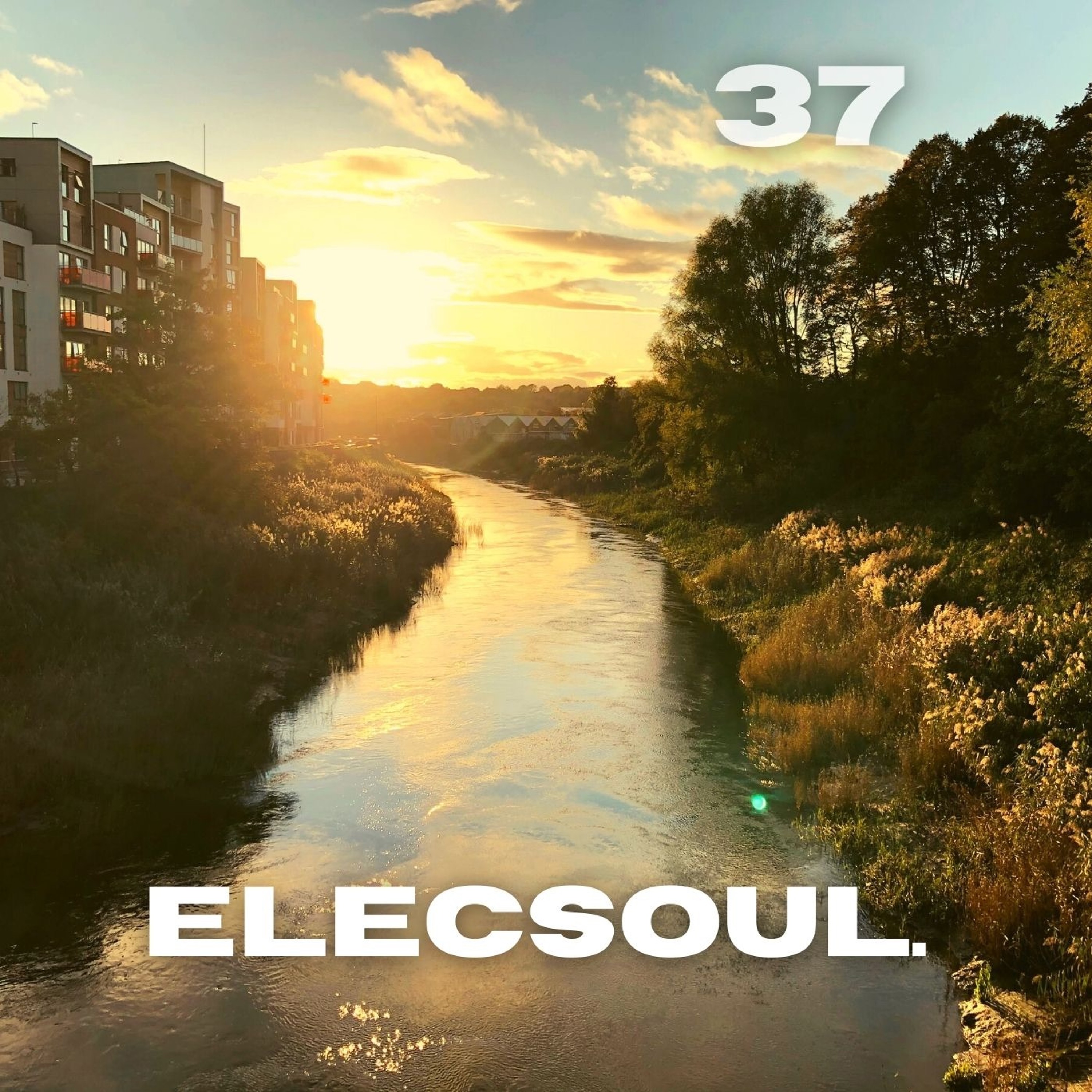 ElecSoul
