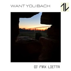 WANT YOU BACK