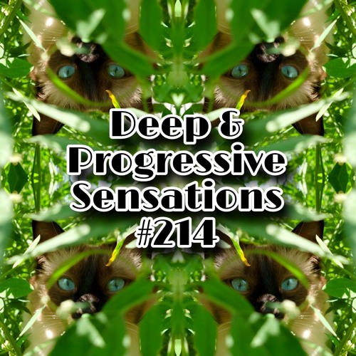 Deep & Progressive Sensations #214 | The Lion of Zion (3 Step Mix)