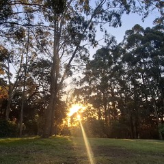 "Brave looks good on you"