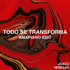 [AMAPIANO] Jorge Drexler - Todo Se Transforma (Joaco Venegas Edit)