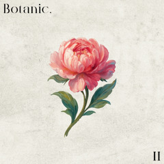 Botanic Sprout - 3.2 - 32Bar Live