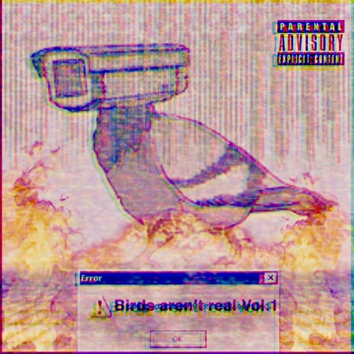 Birds Aren't Real Vol. 1