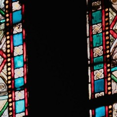 Aves vítreas [vln] (2015)