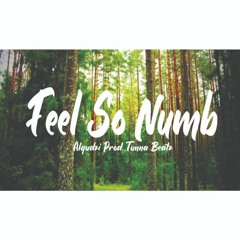 Feel So Numb  (Alqudzi Prod Tunna Beatz)