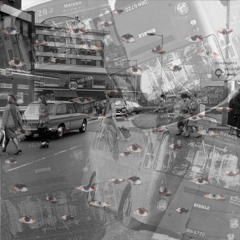 The Beatless - Steve Reich In The Afternoon