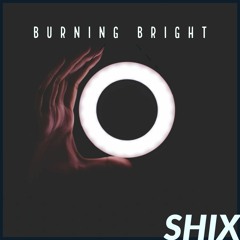 Burning Bright (Ft. Selena Langley)