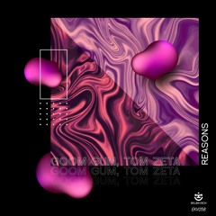 Goom Gum, Tom Zeta - Reasons (Original Mix) [EKLEKTISCH]