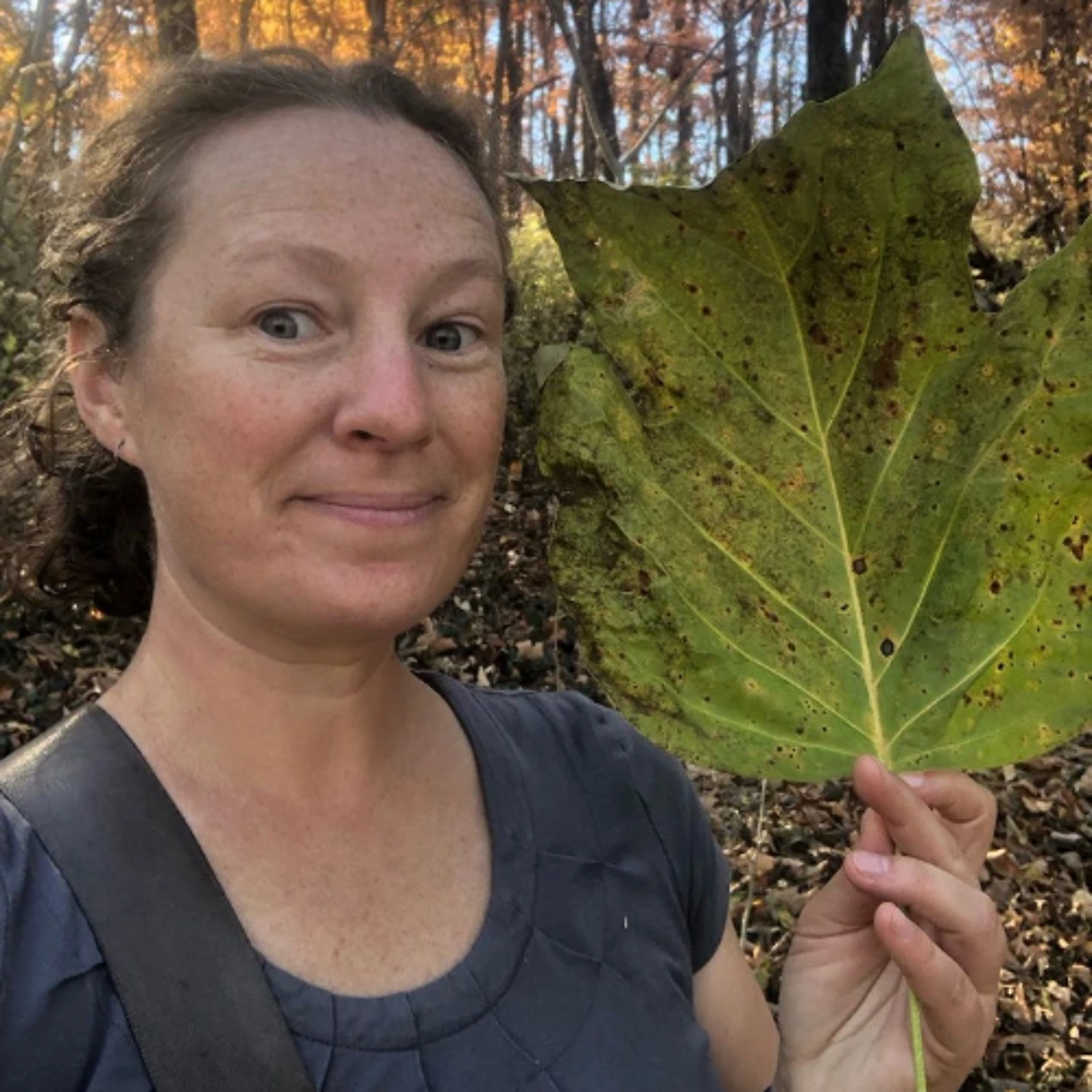 Sustainability Now! | 400th Show! | Carolyn Waters | Environmental Education | 12-23-24 episode artwork