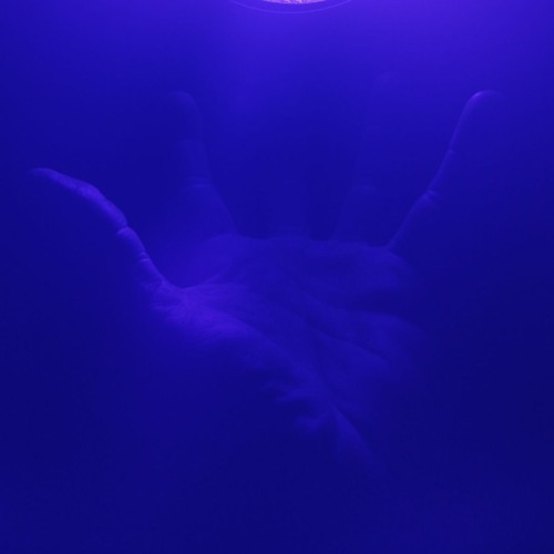 Betrayal Of A Psychopath_Analog