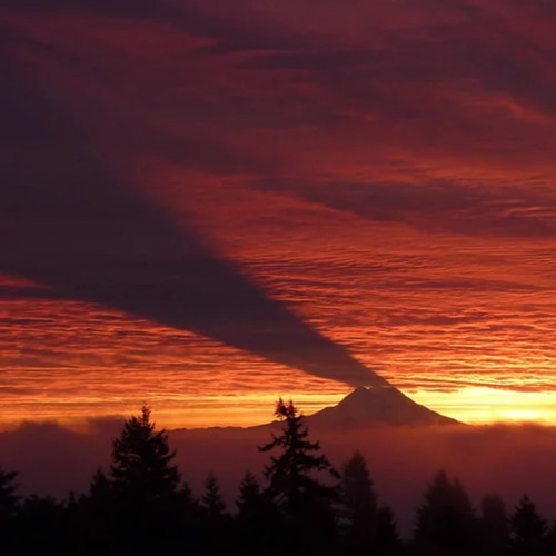 Impressions of a Large Field (Instrumental Suite)