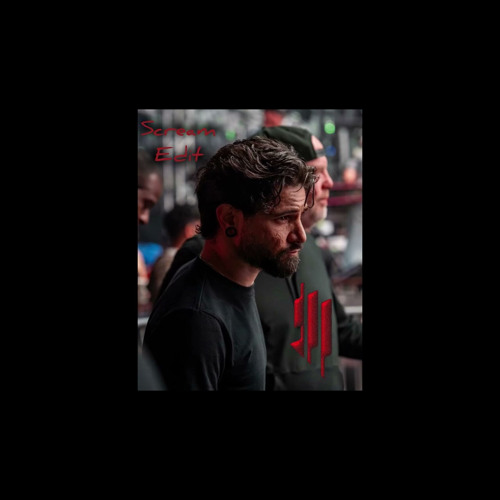 SKRILLEX & NITEPUNK ID