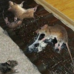 a better place (sickboi)