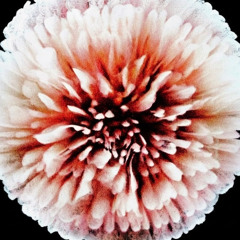 B4TN - Bass Music DJ Mix (140 - 176 BPM)