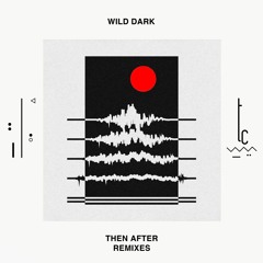 Premiere: Wild Dark - Born By The River ft. Alex Who  (Inamo Remix) [trueColors]
