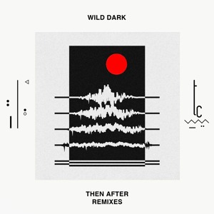 Wild Dark - Inámo Remix