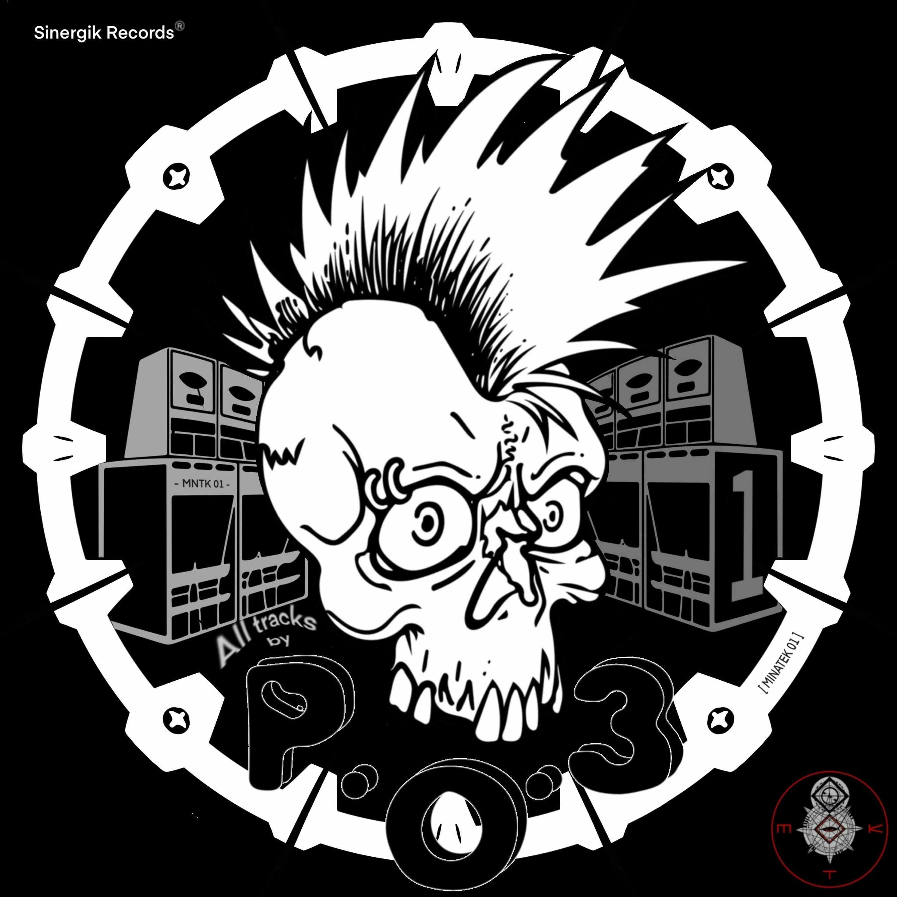 SINERGIK RECORDS ²³