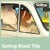 Artwork for Spring Road Trip 🚙 The Scenic Route [chill lofi beats / driving mix]