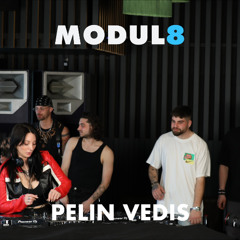 MODUL8 Podcast #010: PELIN VEDIS [HARDGROOVE / BOUNCE]