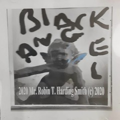 Verily, Verily by Mr. Robin T Harding Smith copyrighted (c) 2022 RTS.  Enterprises Sound Waves Publi