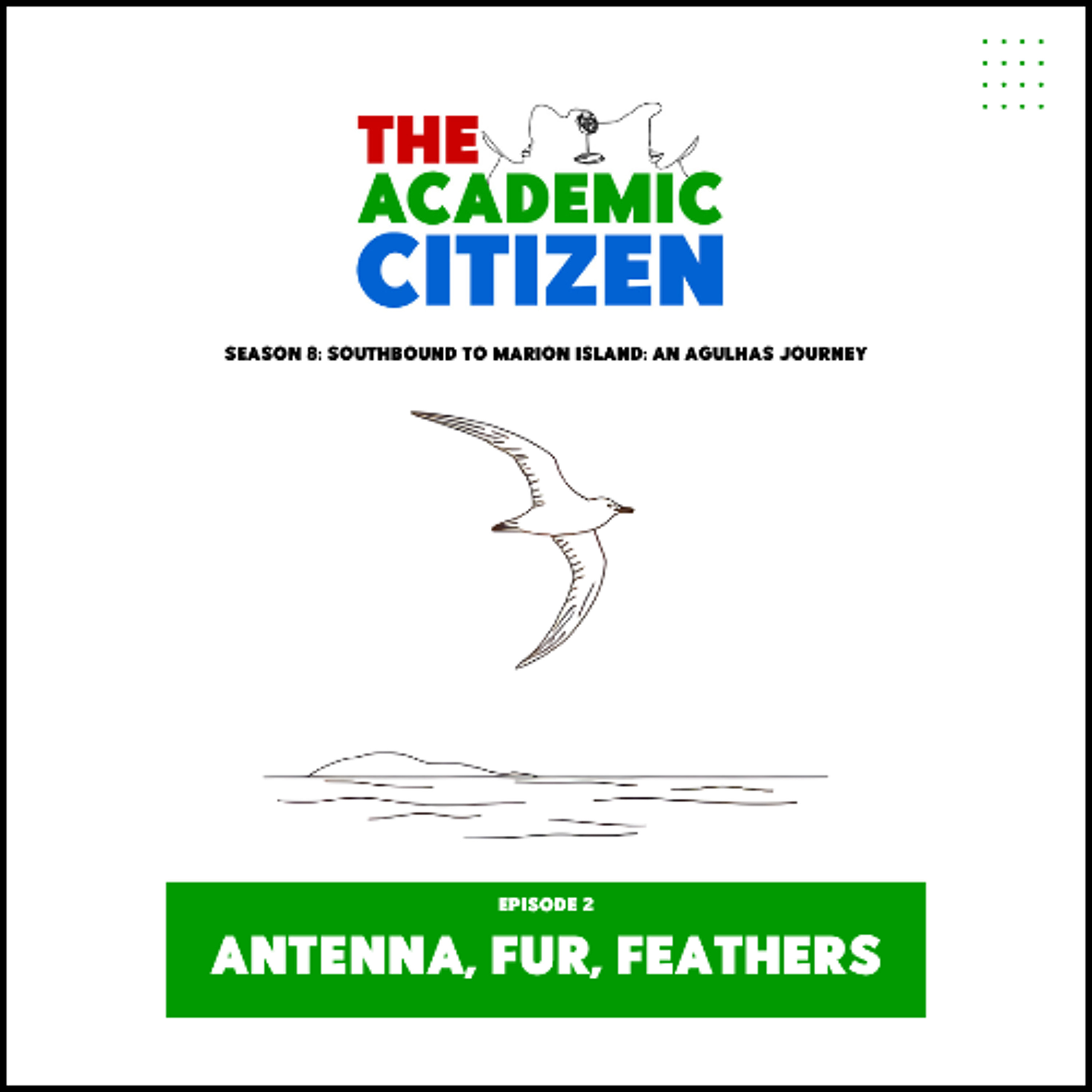 72. Antenna, Fur, Feathers episode artwork