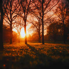 SunShineDreamzHeavenlyVibes 1-3