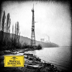 Low Signal Shore