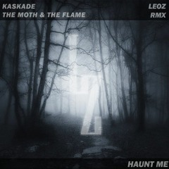 Kaskade, The Moth & The Flame - Haunt Me (Leoz RMX)