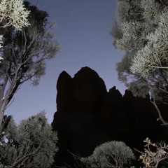 let's go w/ justdxnt