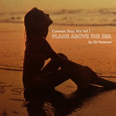 Vol.1 : Plane Above The Sea (by DJ Noimnot)