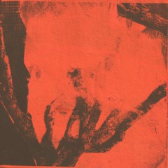 BOY/ANATOMY (SKELETON)