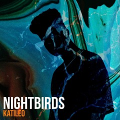 Nightbirds #9